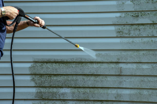 Best Building Exterior Washing  in Town Creek, AL